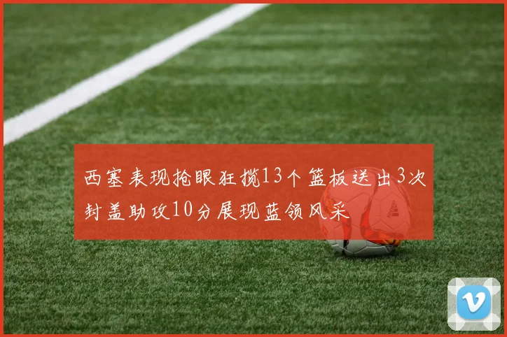 西塞表现抢眼狂揽13个篮板送出3次封盖助攻10分展现蓝领风采